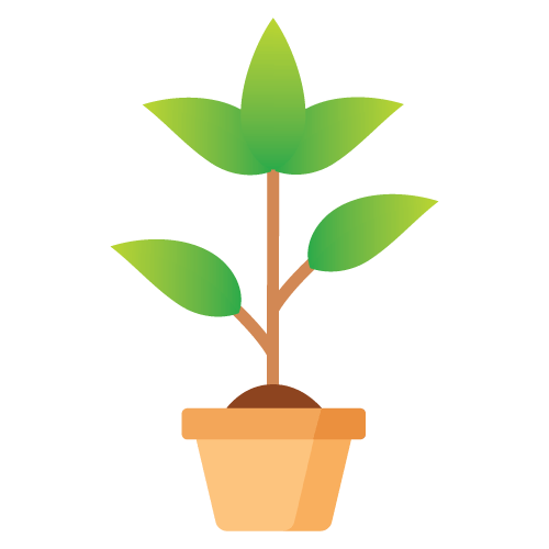 Plant in a pot drawing